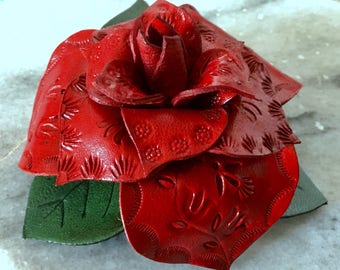 Classic Big Red Rose