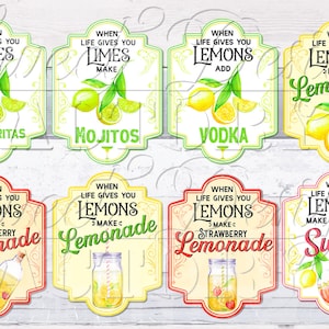 When Life Gives you Lemons make lemonade PNG, lemonade label, limes sublimation, mojito png, jar sublimation, margarita png