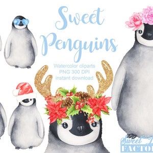Clipart de pingouin à l'aquarelle,pingouin de noel, pingouin avec bonnet, hiver clipart, animal aquarelle, animal mignon, noel aquarelle
