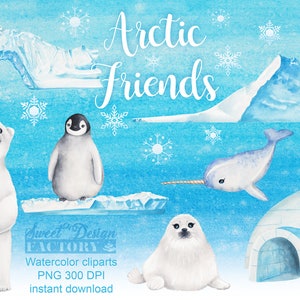 Clipart d'animaux de l'arctique  à l'aquarelle, animal polaire, ours polaire, pingouin, phoque aquarelle, banquise, neige, hiver clipart