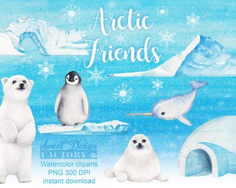 Winter animal sublimation png, Arctic Animals watercolor Clipart, north pole png, polar bear png, seal png, penguin png, christmas clipart