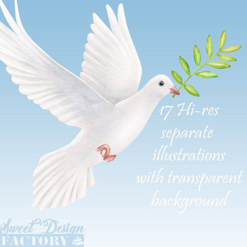 May include: A white dove with an olive branch in its beak, flying against a light blue background. The text "17 Hi-res separate illustrations with transparent background" is below the dove.