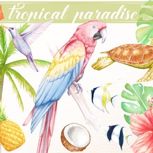 Clipart tropical aquarelle, clipart été, perroquet, fleur tropicale clipart, palmier aquarelle, ananas aquarelle, tortue clipart