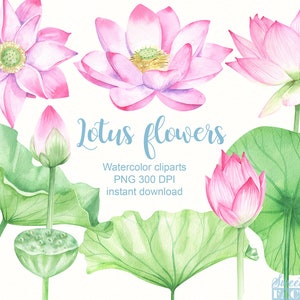 Clipart de lotus à l'aquarelle, nenuphar aquarelle, printemps clipart, invitation de mariage floral, invitation clipart, fleur aquatique