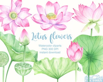 Clipart de lótus em aquarela, lírio d'água em aquarela, clipart de primavera, convite de casamento floral, clipart de convite, flor aquática