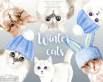 christmas cat sublimation design, cat png, christmas sublimation png, baby animal sublimation png, watercolor cat clipart, christmas clipart