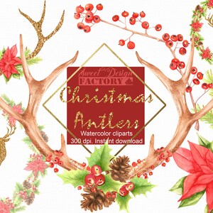 Bois de renne à l'aquarelle clipart, noel rustique clipart, fleurs d'hiver aquarelle, renne de noel, noel traditionnel, fleurs de noel