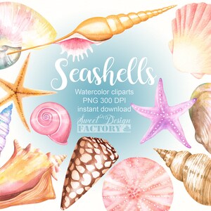 May include: Watercolor illustrations of seashells in various shapes, colors, and sizes.  There are two starfish, one pink and one orange. The text "Seashells" is written in a decorative font with the words "Watercolor clipart, PNG 300 DPI, instant download, Sweet Design Factory" below it.