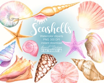 Seashell watercolor clipart, nautical clipart, seaside clip art, beach clipart, watercolor clipart, ocean clipart, starfish, summer clipart