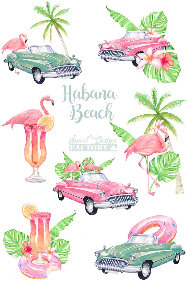 May include: Watercolor illustration of pink flamingos, vintage cars, palm trees, and tropical leaves. The text "Habana Beach" and "Sweet Design Factory" are also included in the image.
