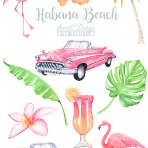 May include: A digital illustration of a tropical beach scene with pink flamingos, palm trees, a pink vintage car, a green vintage car, a tropical drink with a slice of orange, a pink hibiscus flower, and a white plumeria flower. The text "Habana Beach Sweet Design Factory" is included in the image.