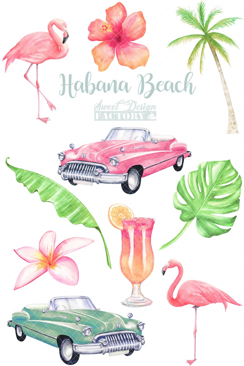 May include: A digital illustration of a tropical beach scene with pink flamingos, palm trees, a pink vintage car, a green vintage car, a tropical drink with a slice of orange, a pink hibiscus flower, and a white plumeria flower. The text "Habana Beach Sweet Design Factory" is included in the image.