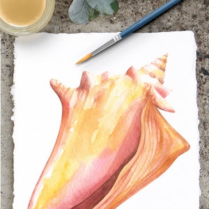 May include: A watercolor painting of a seashell on white paper. The shell is a light pink and orange color with a spiral at the top. A blue paintbrush is lying on the paper next to the shell.