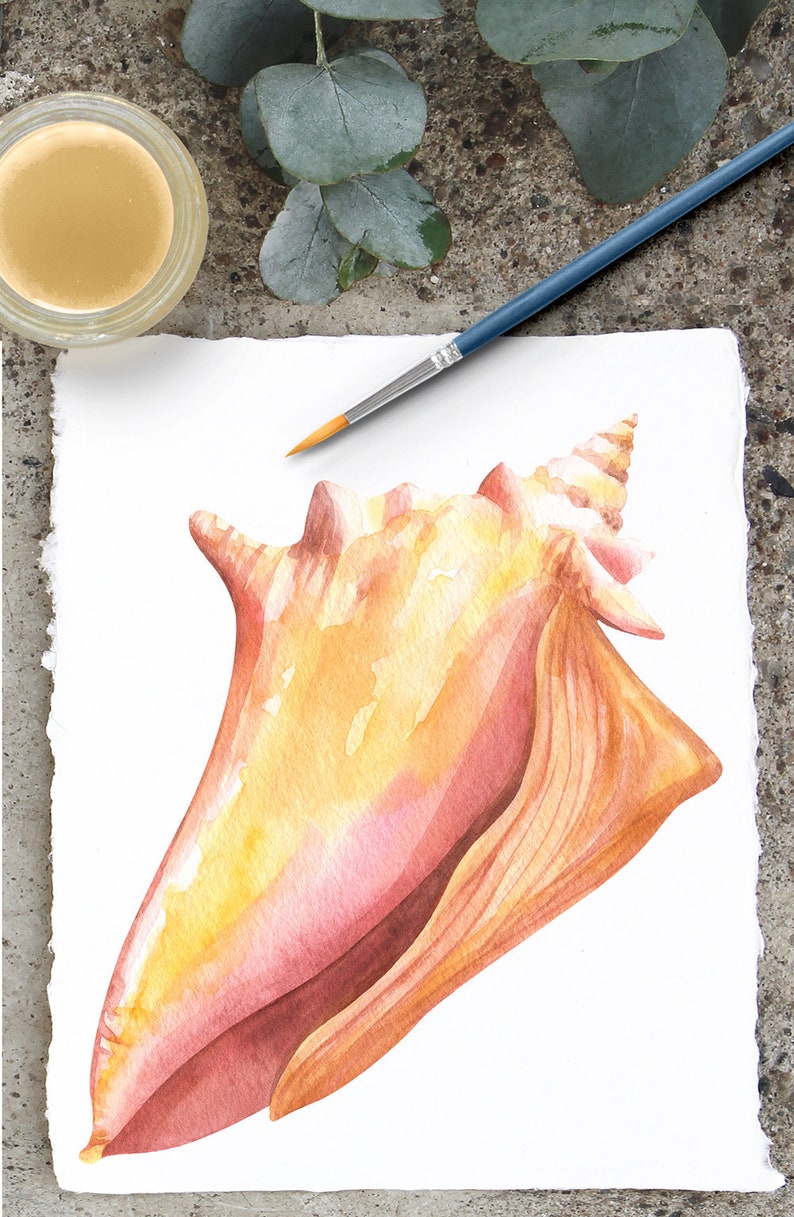May include: A watercolor painting of a seashell on white paper. The shell is a light pink and orange color with a spiral at the top. A blue paintbrush is lying on the paper next to the shell.