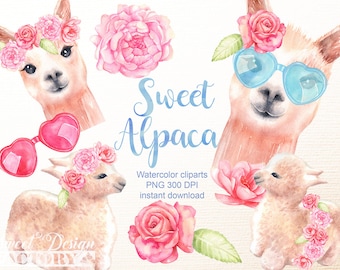 May include: Watercolour clipart set featuring three alpacas with floral crowns and sunglasses. The alpacas are in various poses, including one with heart-shaped sunglasses. The set also includes a pink peony and a pink rose.