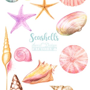 May include: A collection of watercolor painted seashells, starfish, and sand dollars. The seashells are in various shapes and sizes, and some have a pink, yellow, or brown color. The starfish are purple and orange. The sand dollars are pink and white. The text "Seashells Sweet Design Factory" is written in blue and green.