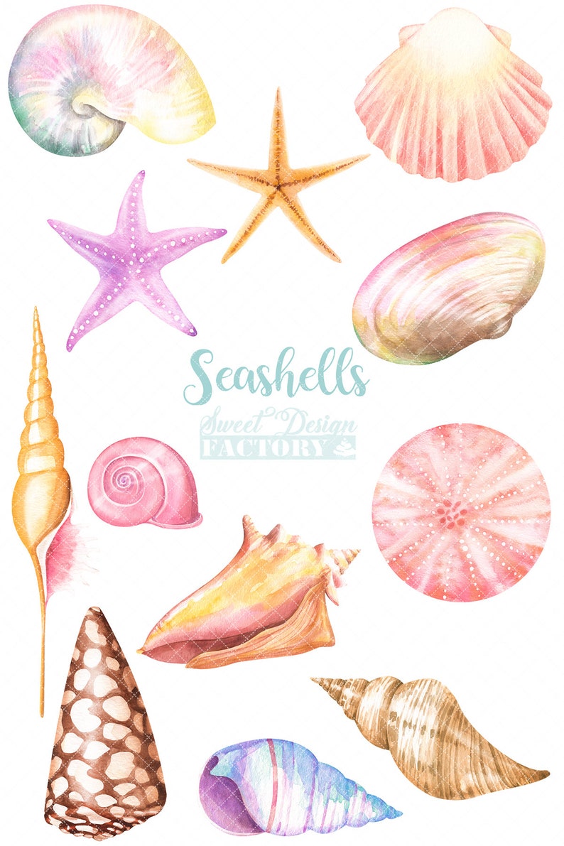 May include: A collection of watercolor painted seashells, starfish, and sand dollars. The seashells are in various shapes and sizes, and some have a pink, yellow, or brown color. The starfish are purple and orange. The sand dollars are pink and white. The text "Seashells Sweet Design Factory" is written in blue and green.
