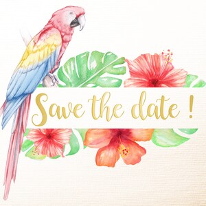 Pu&ograve; includere: Illustrazione ad acquerello di un pappagallo con piume rosse, gialle e blu appollaiato su un ramo con foglie e fiori tropicali. Il testo "Save the date!" &egrave; scritto in lettere dorate su uno striscione bianco.