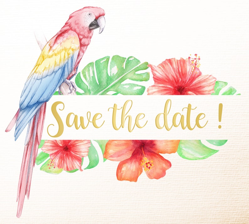 Pu&ograve; includere: Illustrazione ad acquerello di un pappagallo con piume rosse, gialle e blu appollaiato su un ramo con foglie e fiori tropicali. Il testo "Save the date!" &egrave; scritto in lettere dorate su uno striscione bianco.