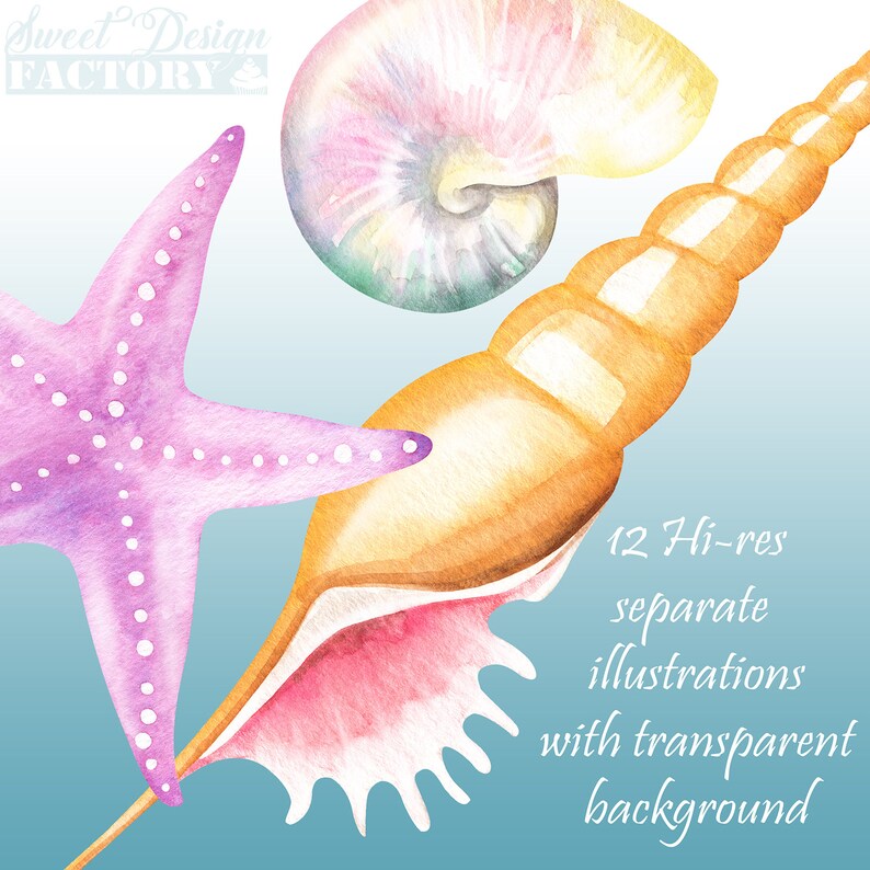 May include: Watercolor illustrations of seashells and a starfish. The shells are in shades of pink, orange, and yellow. The starfish is purple with white dots. The background is a light blue.