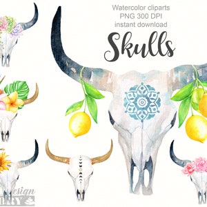 Skull watercolor clipart, longhorn clipart, flower and skull clipart, boho clip art, western clipart, buffalo clipart, ranch, bull skull