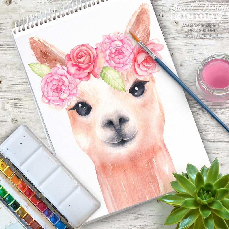 aquarelle lama clipart, clipart animal mignon, aquarelle alpaga, bébé animal clipart , clipart floral, clipart lunettes image 4