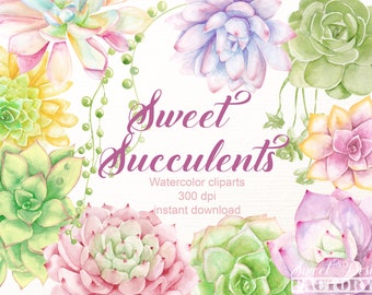 Succulent watercolor clipart, spring watercolor, watercolour clipart, floral clip art, greenery clip art, flower clipart, wedding clipart