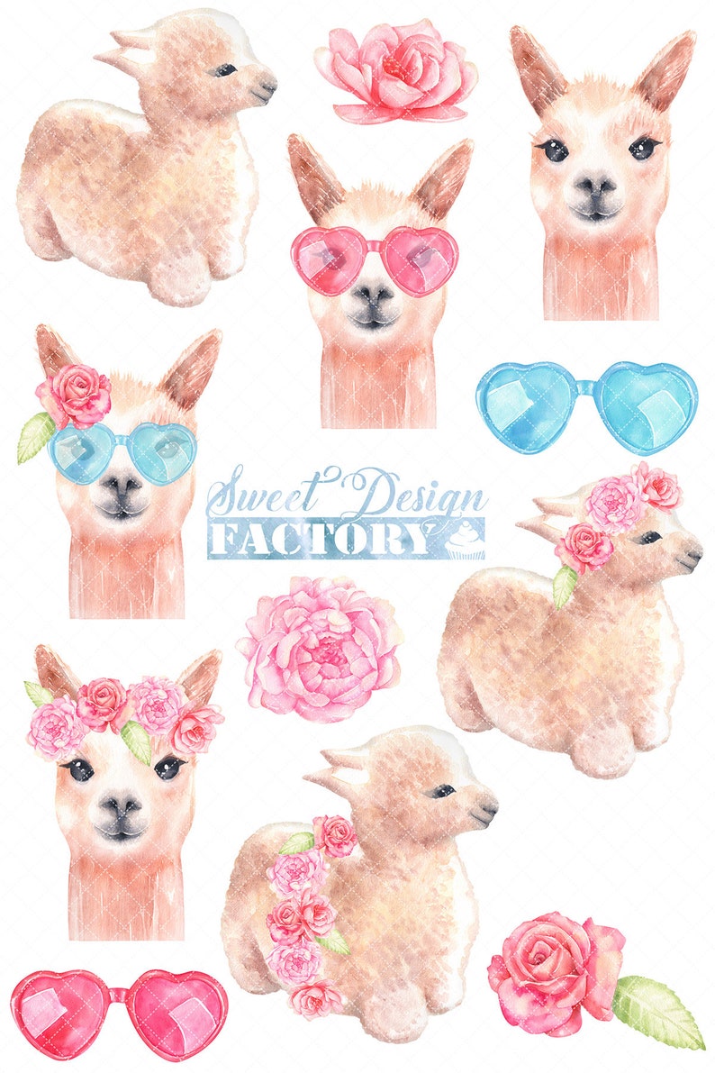 aquarelle lama clipart, clipart animal mignon, aquarelle alpaga, bébé animal clipart , clipart floral, clipart lunettes image 2