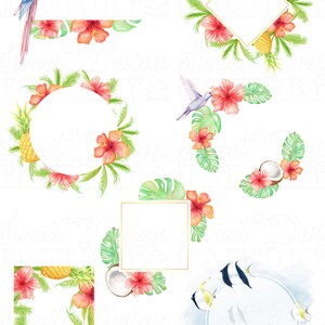 Pu&ograve; includere: Illustrazioni ad acquerello di fiori tropicali, ananas, noci di cocco, uccelli e pesci. Le illustrazioni sono disposte in una variet&agrave; di cornici, tra cui cerchi, quadrati e diamanti. Le illustrazioni sono perfette per aggiungere un tocco di stile tropicale a qualsiasi progetto.