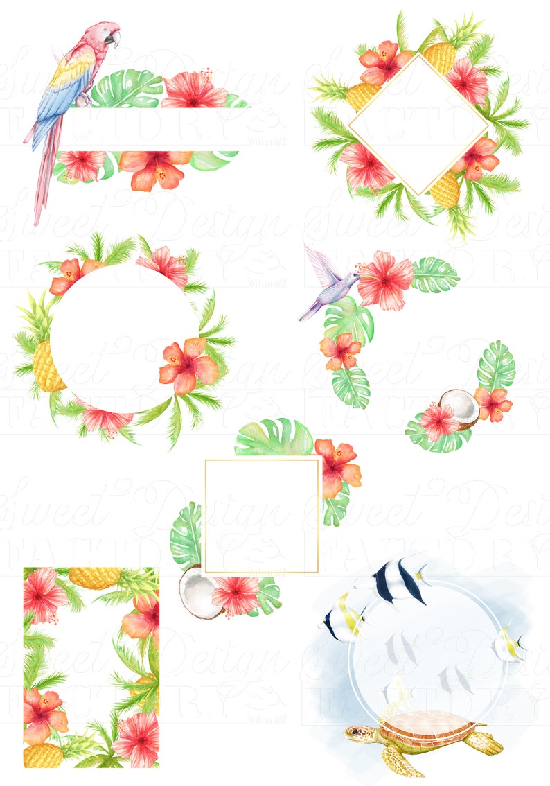 Pu&ograve; includere: Illustrazioni ad acquerello di fiori tropicali, ananas, noci di cocco, uccelli e pesci. Le illustrazioni sono disposte in una variet&agrave; di cornici, tra cui cerchi, quadrati e diamanti. Le illustrazioni sono perfette per aggiungere un tocco di stile tropicale a qualsiasi progetto.