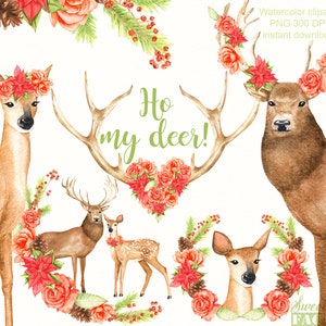 cerf aquarelle clipart, noel traditionnel clipart, biche aquarelle, fleurs d'hiver aquarelle, bois de cerf, animaux de la foret aquarelle