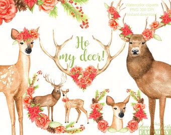 cerf aquarelle clipart, noel traditionnel clipart, biche aquarelle, fleurs d'hiver aquarelle, bois de cerf, animaux de la foret aquarelle