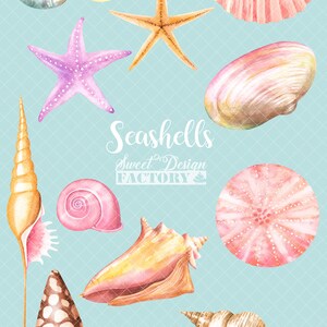 May include: A collection of watercolor seashells in various shapes, sizes, and colors, including pink, orange, brown, and purple. The seashells are arranged on a light blue background with a white grid pattern. The text "Seashells Sweet Design FACTORY" is written in black cursive lettering.