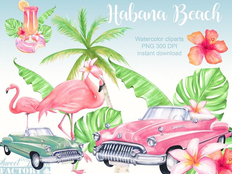 May include: Watercolor clipart set featuring a pink flamingo, a pink vintage car, a green vintage car, palm trees, tropical leaves, and hibiscus flowers. The text "Habana Beach" is written in the top right corner of the image. Watercolor clip arts PNG 300 DPI instant download.
