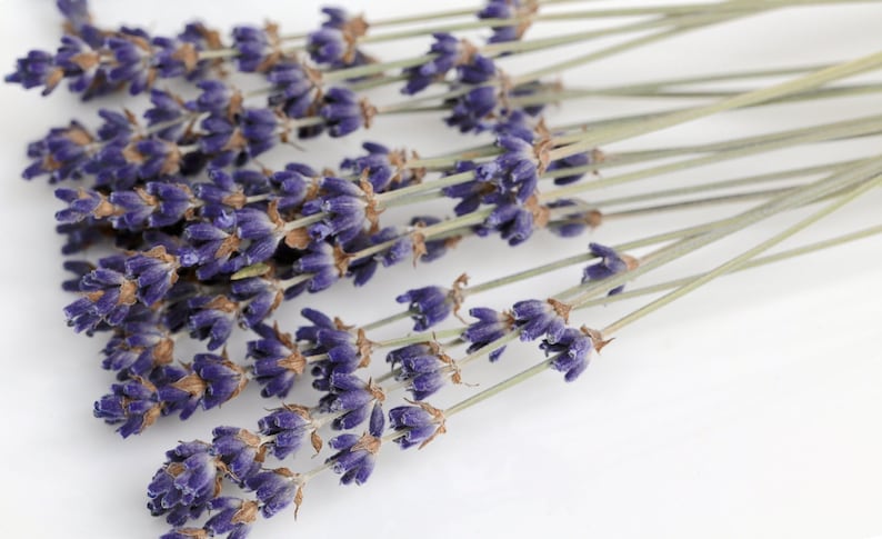 100+ Organic Lavender Cocktail Picks \\ Dried English Lavender Sprigs Garnish Picks Napkin Decoration Lavender Stems