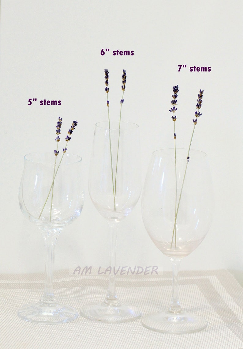 100+ Organic Lavender Cocktail Picks \\ Dried English Lavender Sprigs Garnish Picks Napkin Decoration Lavender Stems