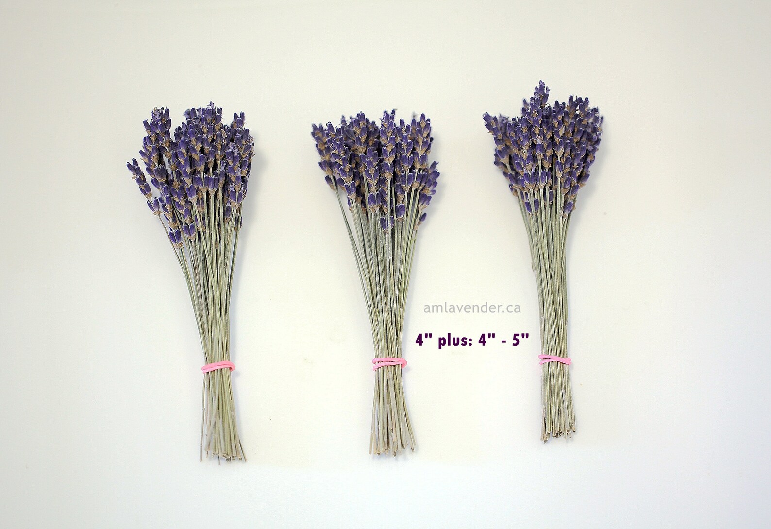 100 Organic Lavender Cocktail Picks Dried English Lavender Etsy