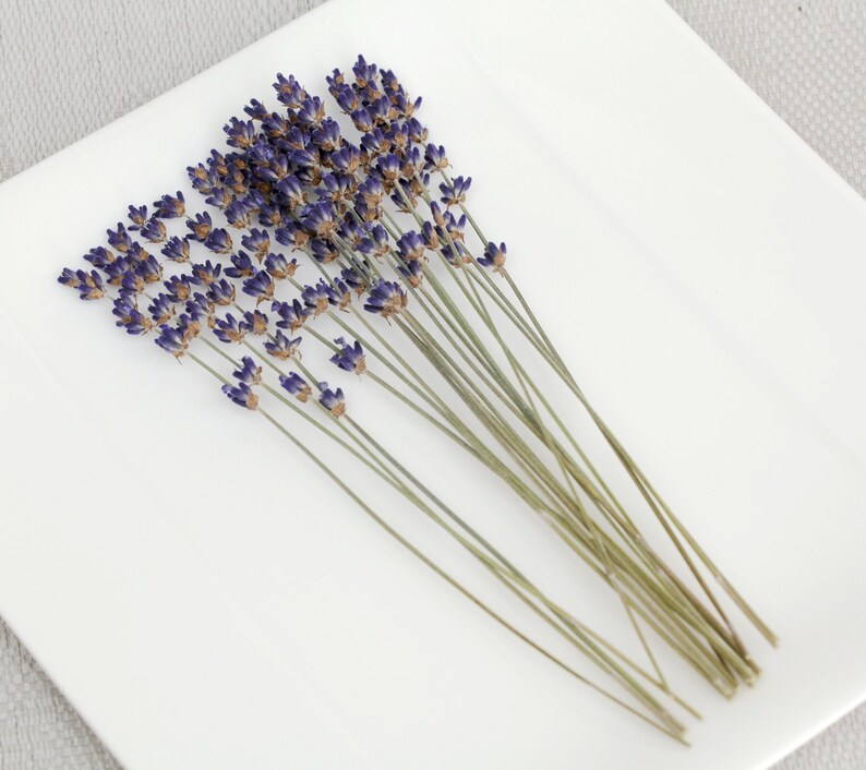 100+ Organic Lavender Cocktail Picks \\ Dried English Lavender Sprigs Garnish Picks Napkin Decoration Lavender Stems