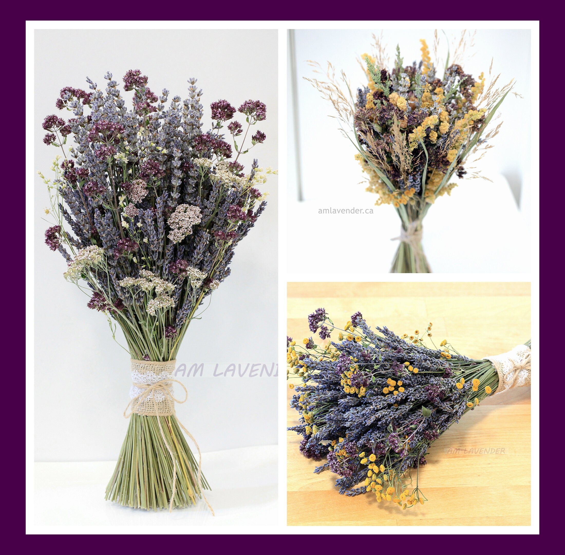 Frontera de tendencia Mejora tu experiencia de compra Envío rápido Flores  secas Bouquet Natural Lavanda más grandes y amapola montón nuevo de Sussex  Reino Unido 