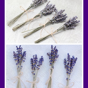 12x - 200x mini bouquets de lavande séchés \ mini bouquets de lavande, brins de lavande, tiges de lavande