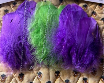 1 set of decorative feathers
