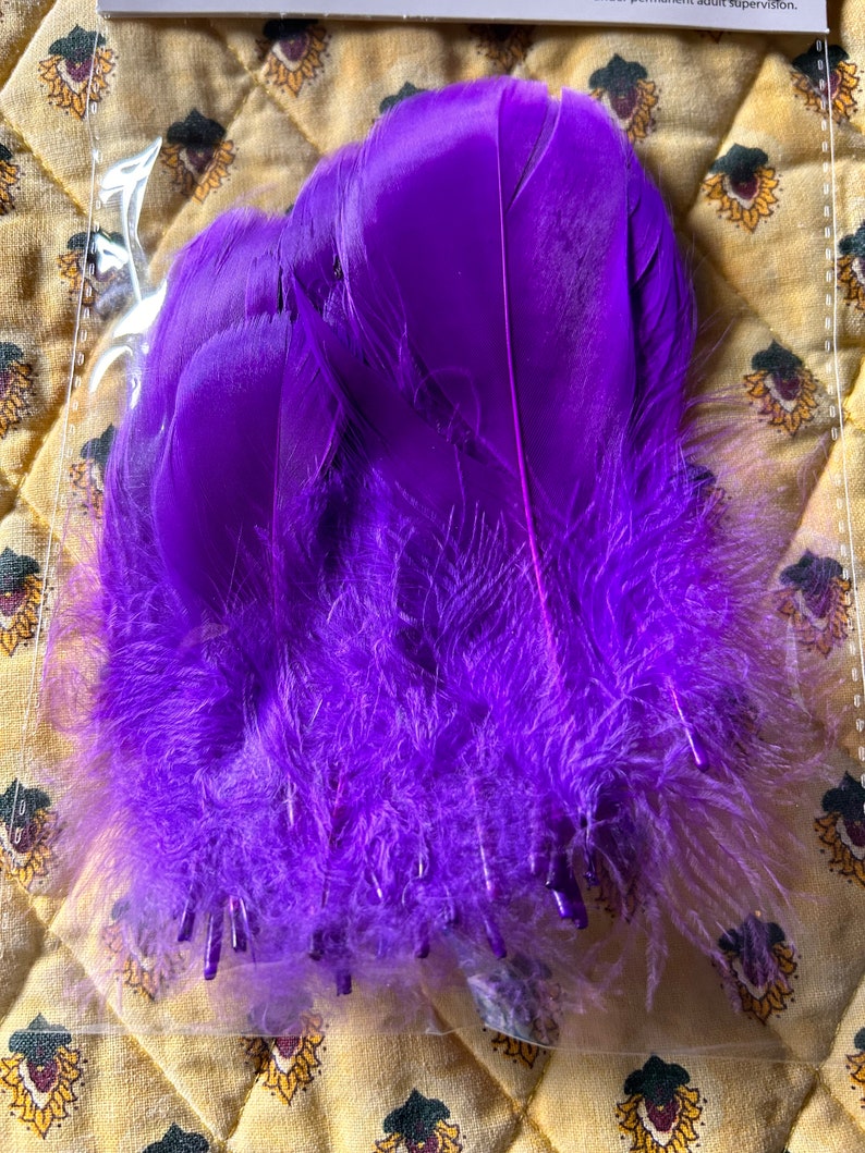 1 set of decorative feathers image 2