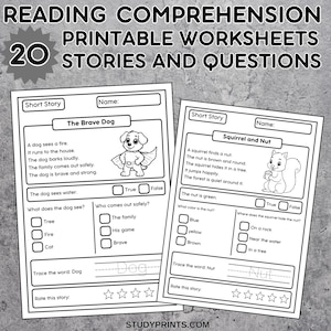 Kindergarten Reading Worksheets / Reading Comprehension Worksheets / Short Stories for Kids / Reading Passages for Kindergarten & Grade 1