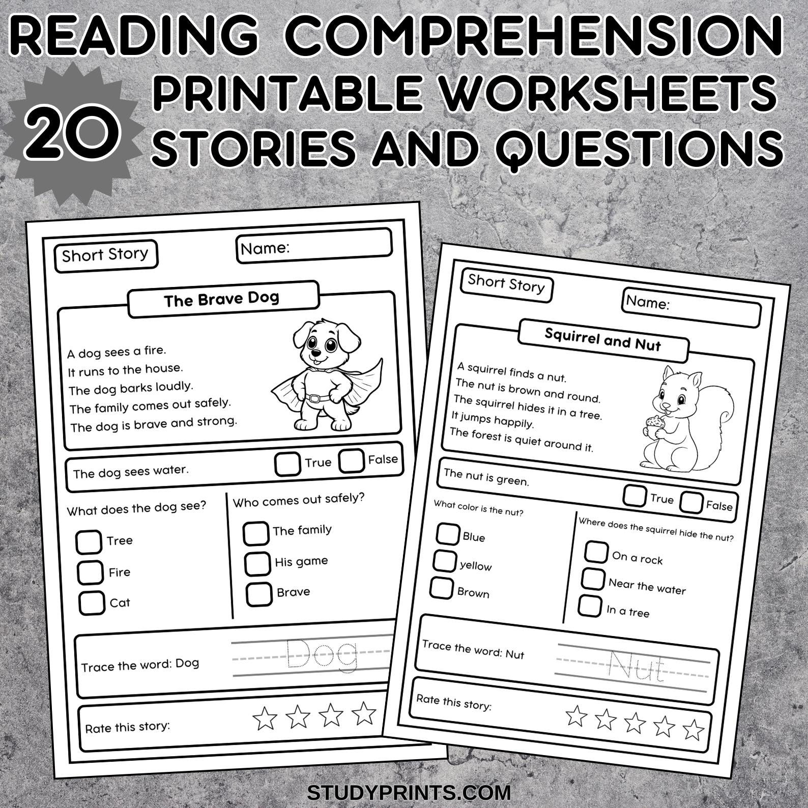Kindergarten Reading Worksheets / Reading Comprehension Worksheets / Short Stories for Kids / Reading Passages for Kindergarten & Grade 1