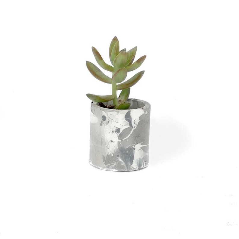 Mini Marble Effect Concrete Pot With Plant Home Decor