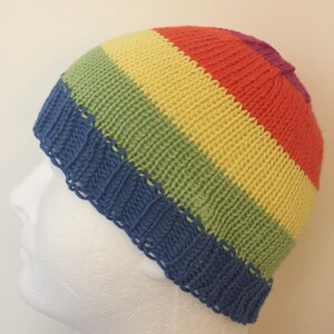 LGBTQ Panflux Pride Beanie Hat