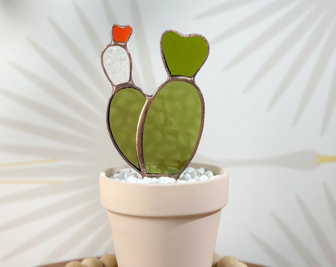 Baby Bunny Ear Glass Cactus