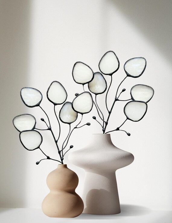 Glass Money Plant Seed Pod Stem