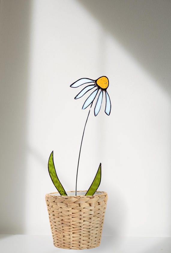 Stained Glass White Coneflower Stem