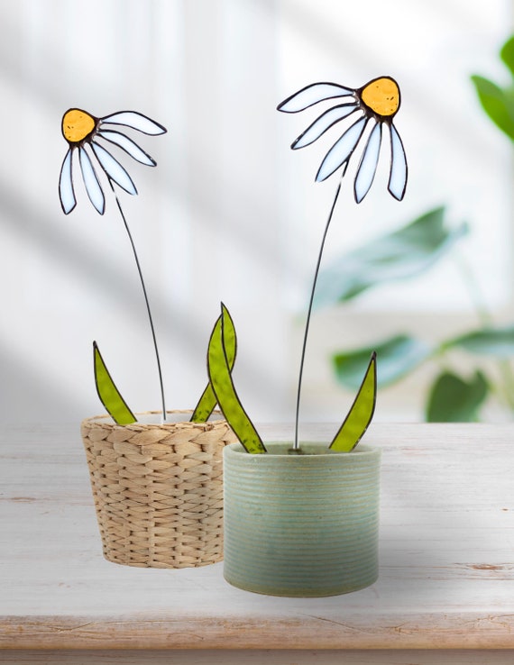 Stained Glass White Coneflower Stem
